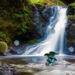 Delicious Forest Blackberries Escape